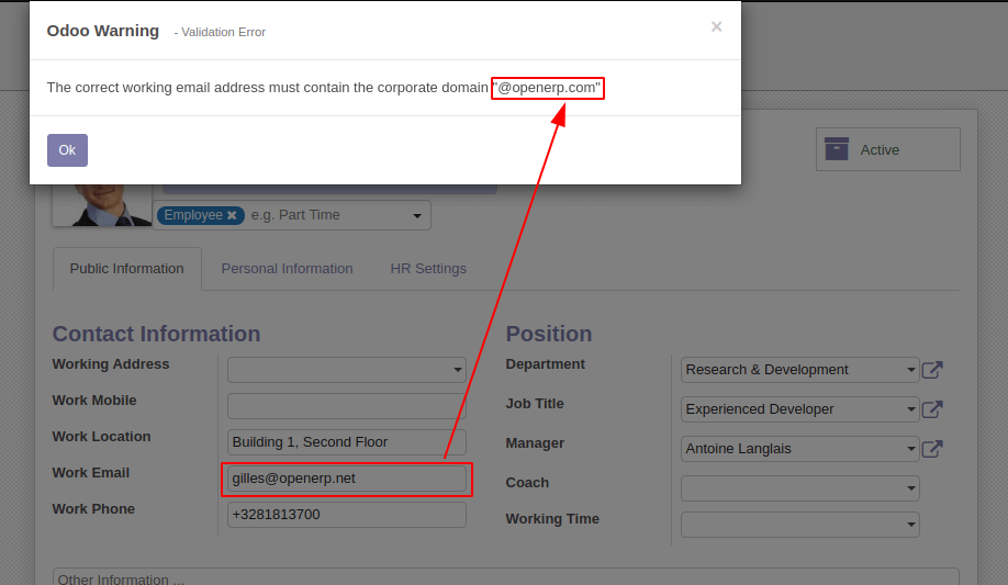 Email Sanitizer Example 1 - Domain Validation