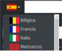 Website Snippet Country Dropdown Code