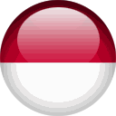 Indonesia's Taxform - Tax Period